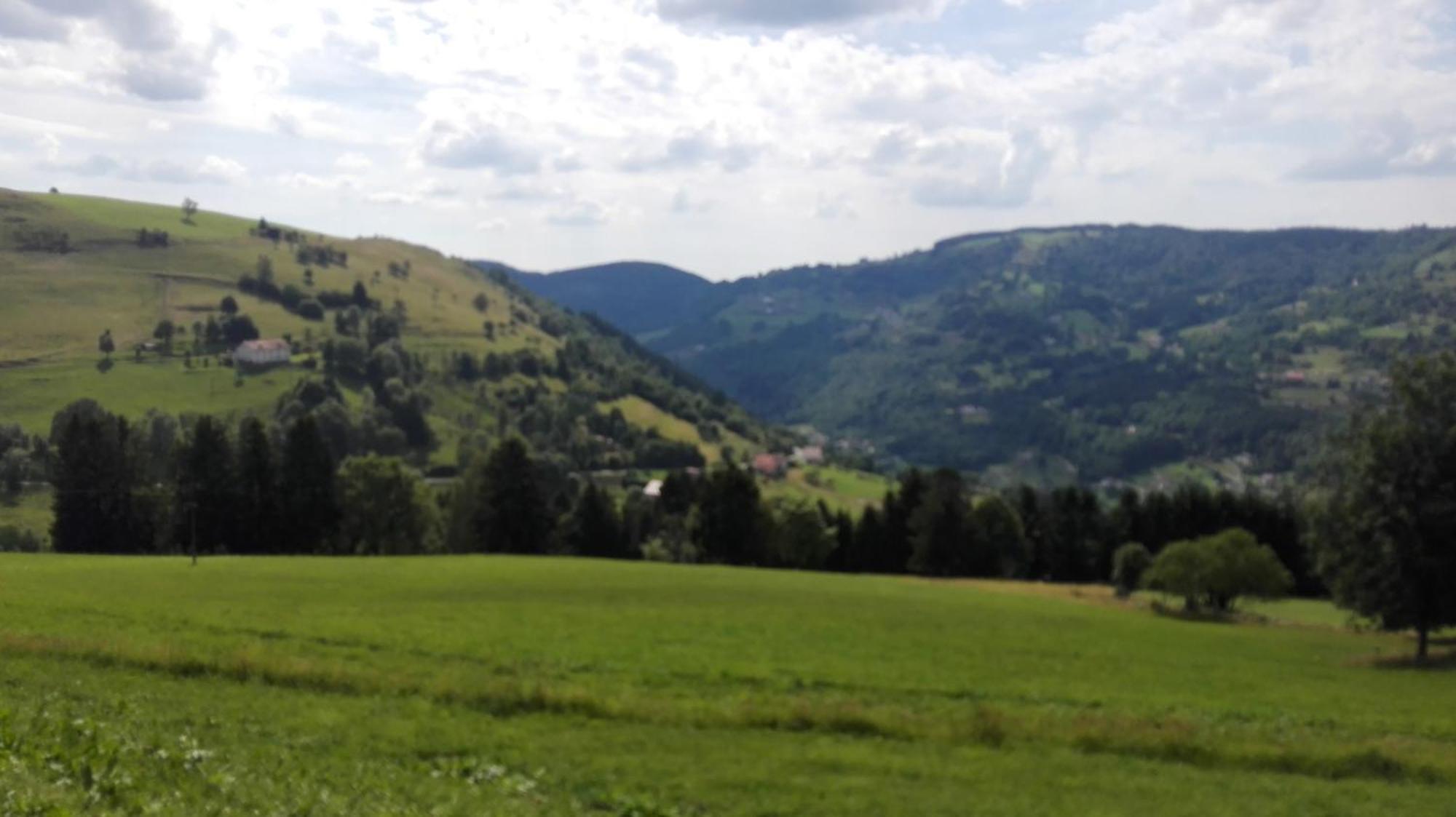 La Bressaude - Vacances-En-Vosges - Menage Compris ラ・ブレス エクステリア 写真