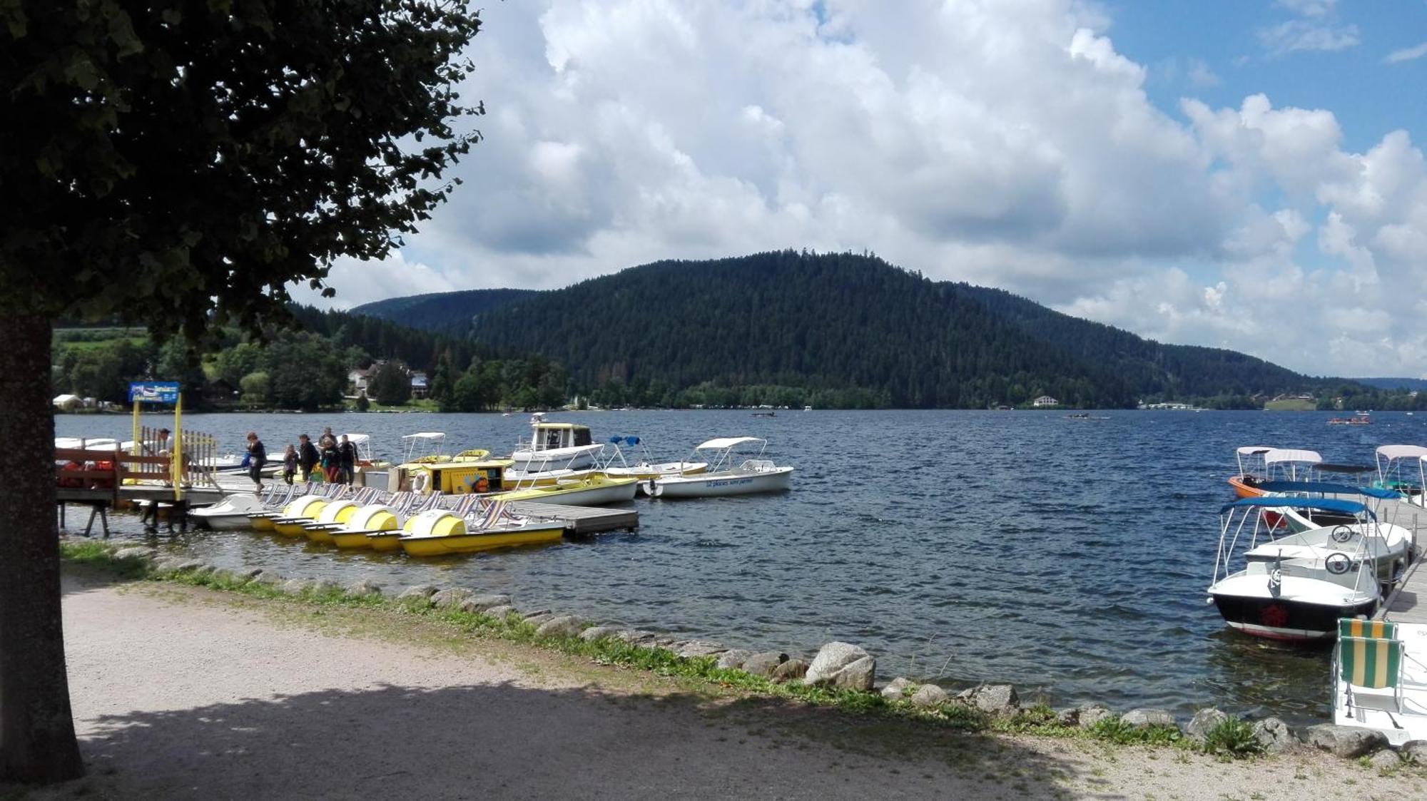 La Bressaude - Vacances-En-Vosges - Menage Compris ラ・ブレス エクステリア 写真