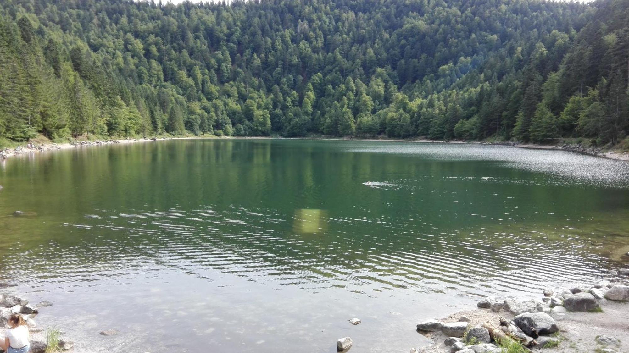 La Bressaude - Vacances-En-Vosges - Menage Compris ラ・ブレス エクステリア 写真
