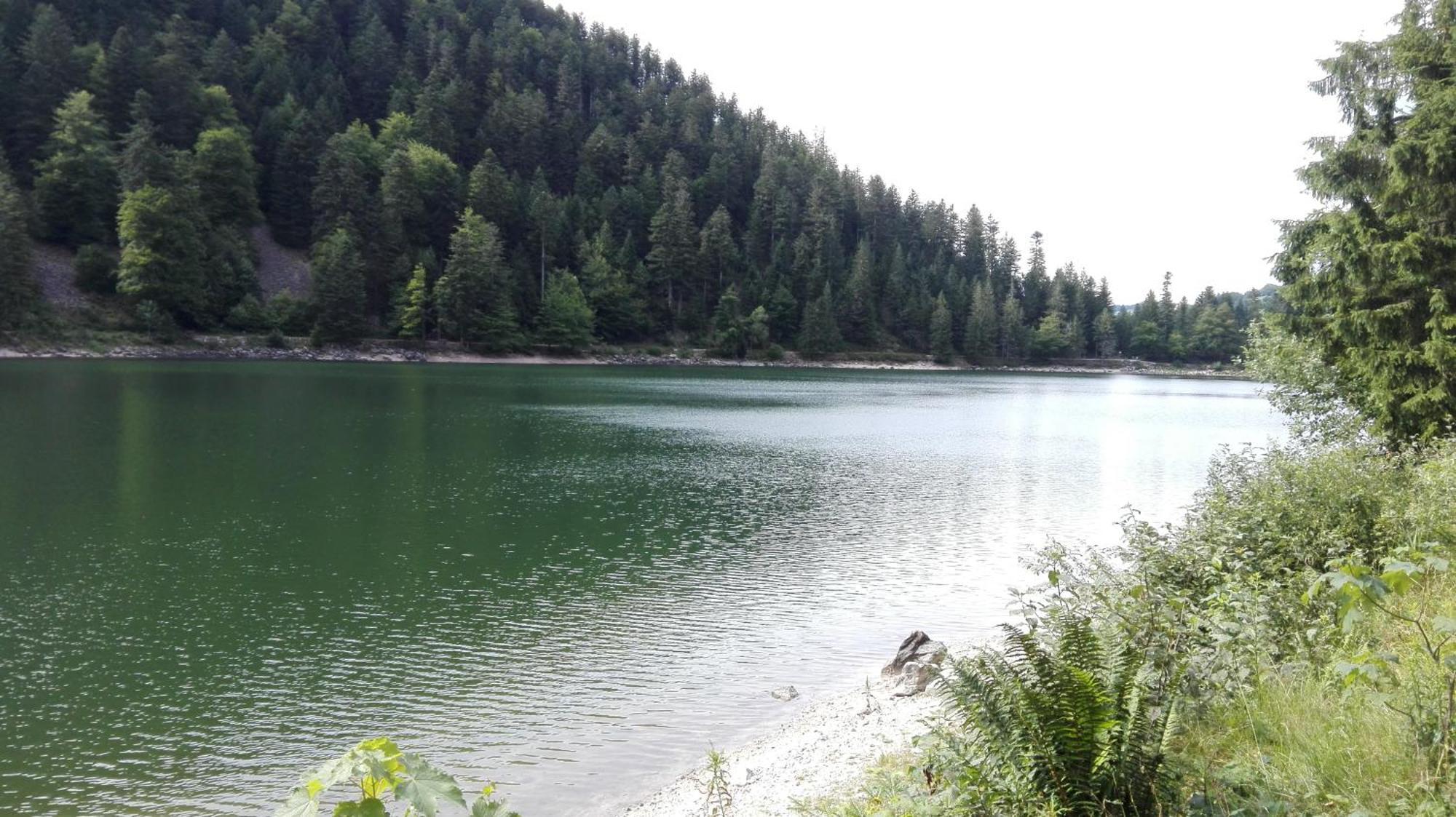 La Bressaude - Vacances-En-Vosges - Menage Compris ラ・ブレス エクステリア 写真